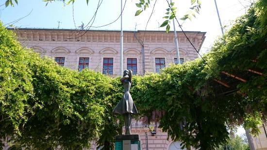 Muzeul Mora Ferenc